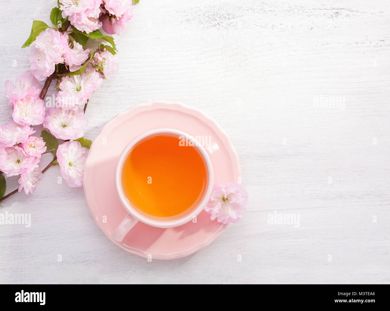 Cup of tea and  blossoming Almond (Prunus triloba) branch  on rustic table. Stock Photo