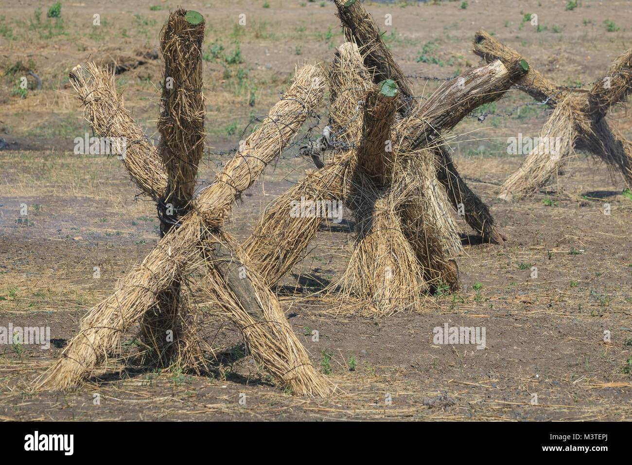 Antipersonnel obstacles on the battlefield Stock Photo Alamy