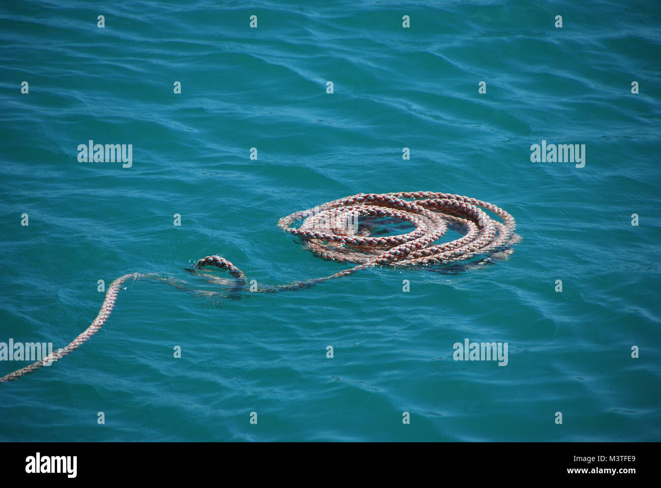 long rope floating in the water at the harbor in the summer Stock Photo -  Alamy