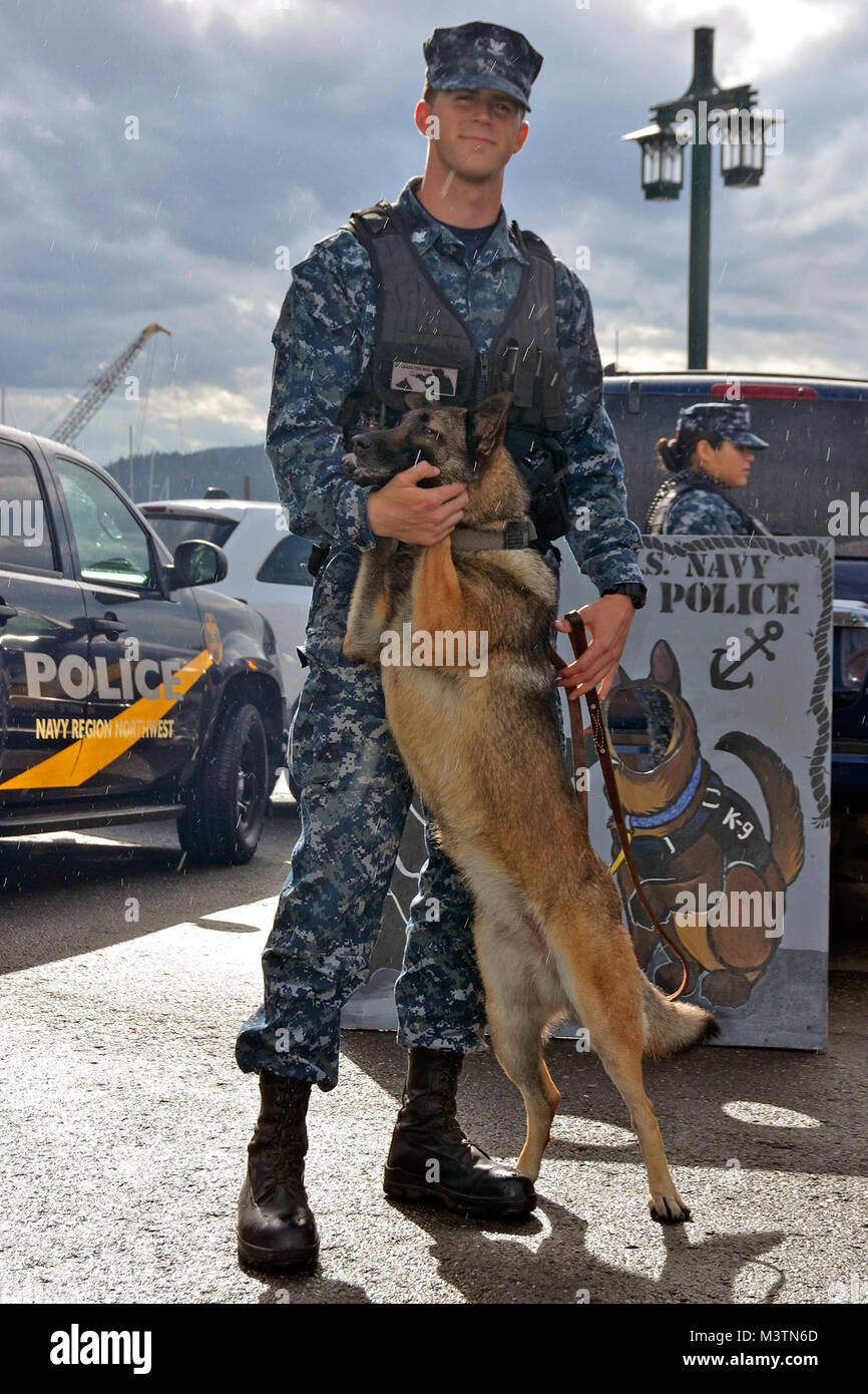 160802-N-SP496-002 PORT ORCHARD, Wash. (Aug. 2, 2016)- Master-at-Arms 3rd Class William Patterson and a military working dog from Navy Region Northwest (NRNW) Security Forces, Naval Base Kitsap (NBK), Bangor, mingle with local residents during National Night Out in Port Orchard, Wash. National Night Out is a combined effort to promote involvement in crime prevention activities, police-community partnerships and neighborhood camaraderie. (U.S. Navy photo by Airman Jane Wood) 160802-N-SP496-002 by Naval Base Kitsap (NBK) Stock Photo