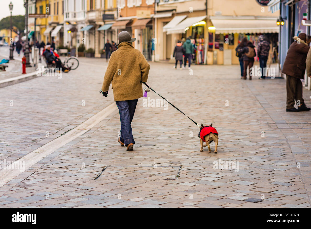 Happy elderly lady with dog hi-res stock photography and images - Alamy