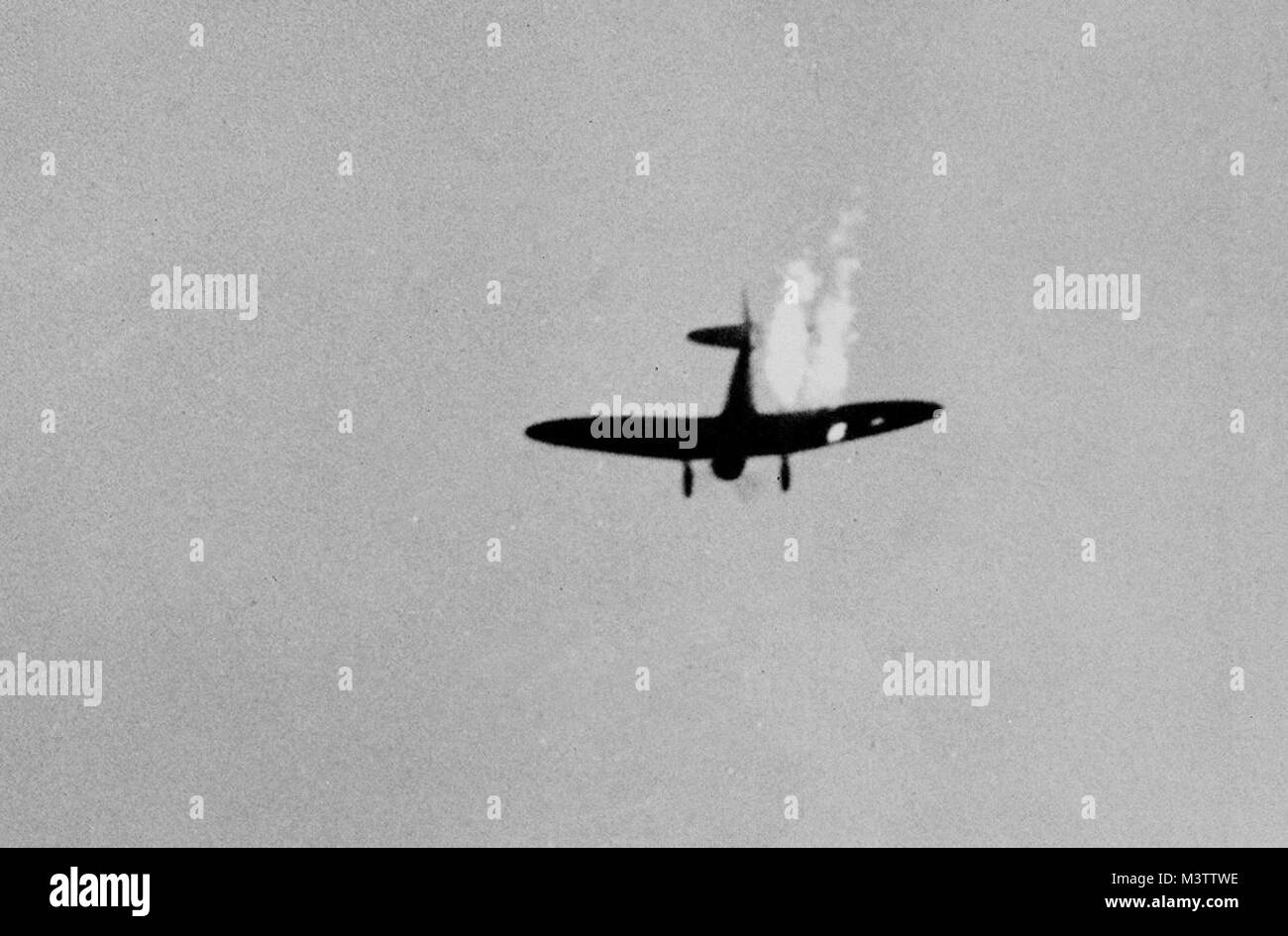 a-japanese-dive-bomber-goes-into-its-last-dive-as-it-heads-toward-the ...