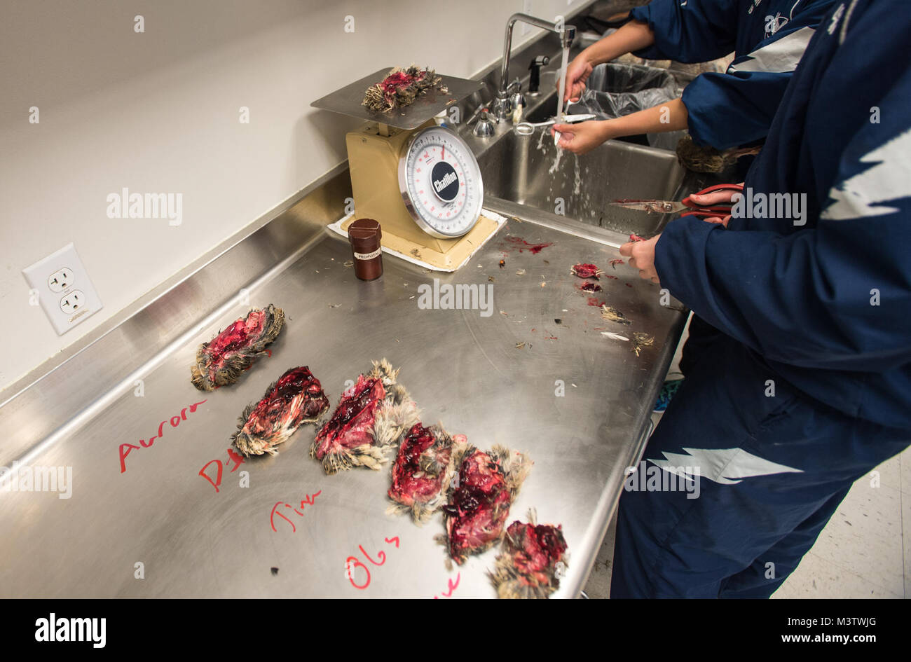 air force academy food