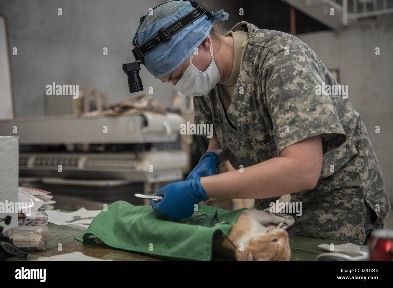 170203-N-WZ792-230 (Feb. 3, 2017) PUERTO BARRIOS, Guatemala - Army Capt ...