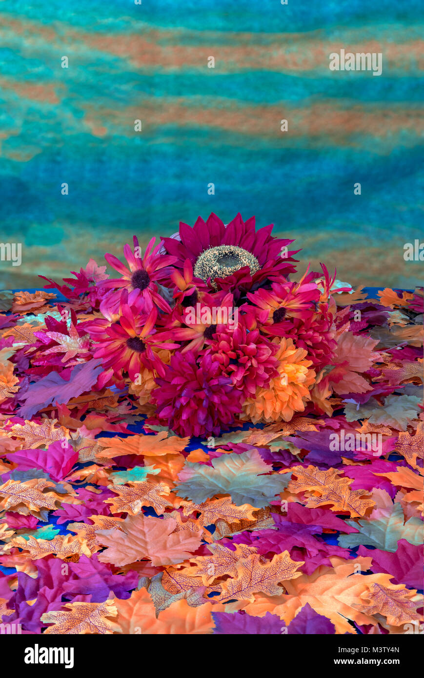 Autumn Flowers Stock Photo