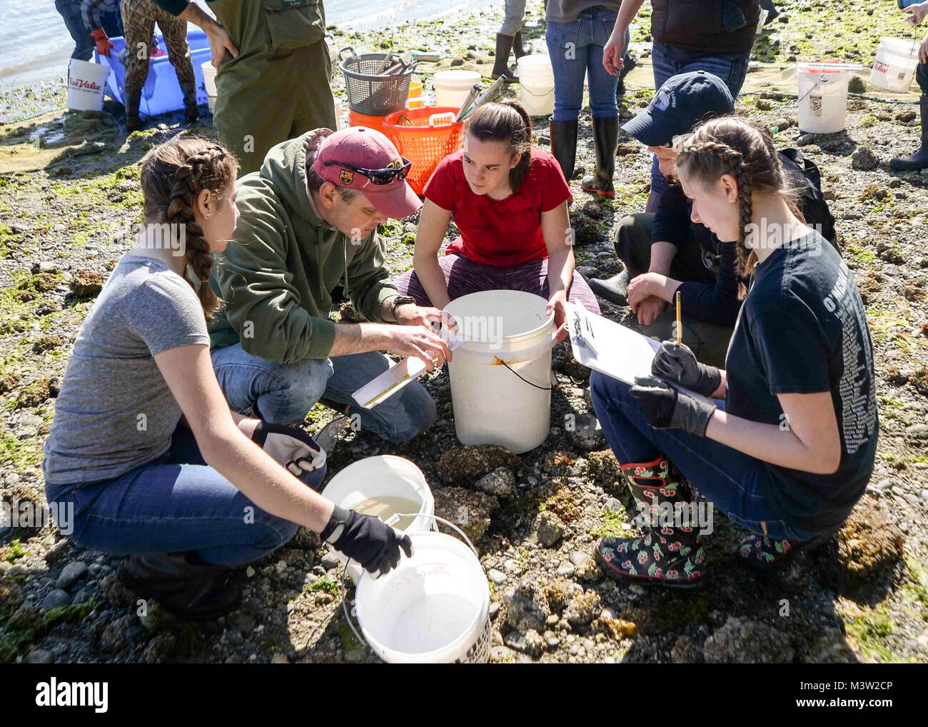 170428-N-VH385-027 INDIAN ISLAND, Wash. (April 28, 2017) – Jake Gregg, a fishery biologist with the United States Geological Survey (USGS), measures a fish with students from Blue Heron Middle School during a community outreach beach seining at Naval Magazine Indian Island. This is the third year the USGS has teamed up with Blue Heron Middle School and Naval Magazine Indian Island to conduct beach seinings in preparation for the Kilsut Spit waterflow to be opened between Marrowstone and Indian Island. (U.S. Navy photo by Mass Communication Specialist 3rd Class Wyatt L. Anthony) 170428-N-VH385- Stock Photo