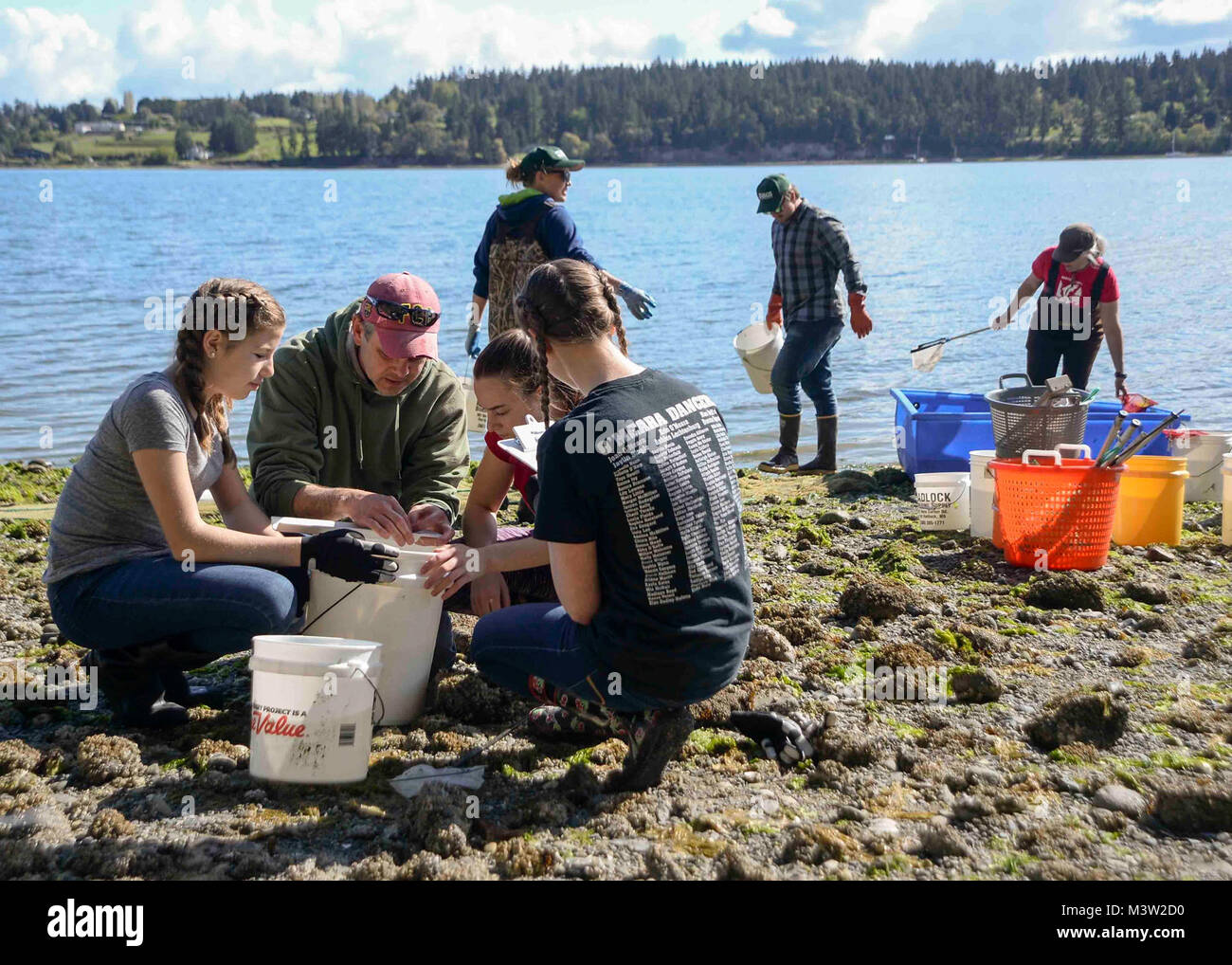 170428-N-VH385-104 INDIAN ISLAND, Wash., (April 28, 2017) – Jake Gregg, a fishery biologist with the United States Geological Survey (USGS), measures a fish with students from Blue Heron Middle School during a community outreach beach seining at Naval Magazine Indian Island. This is the third year the USGS has teamed up with Blue Heron Middle School and Naval Magazine Indian Island to conduct beach seinings in preparation for the Kilsut Spit waterflow to be opened between Marrowstone and Indian Island. (U.S. Navy photo by Mass Communication Specialist 3rd Class Wyatt L. Anthony) 170428-N-VH385 Stock Photo