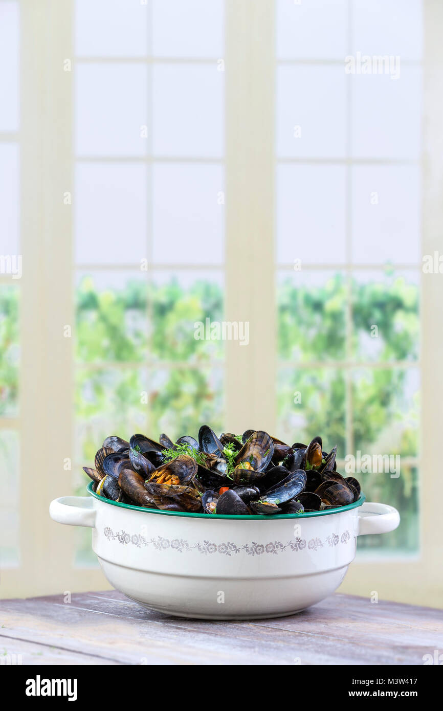 cooked French blue mussels with parsley in old vintage enamel pot on a kitchen windows background Stock Photo
