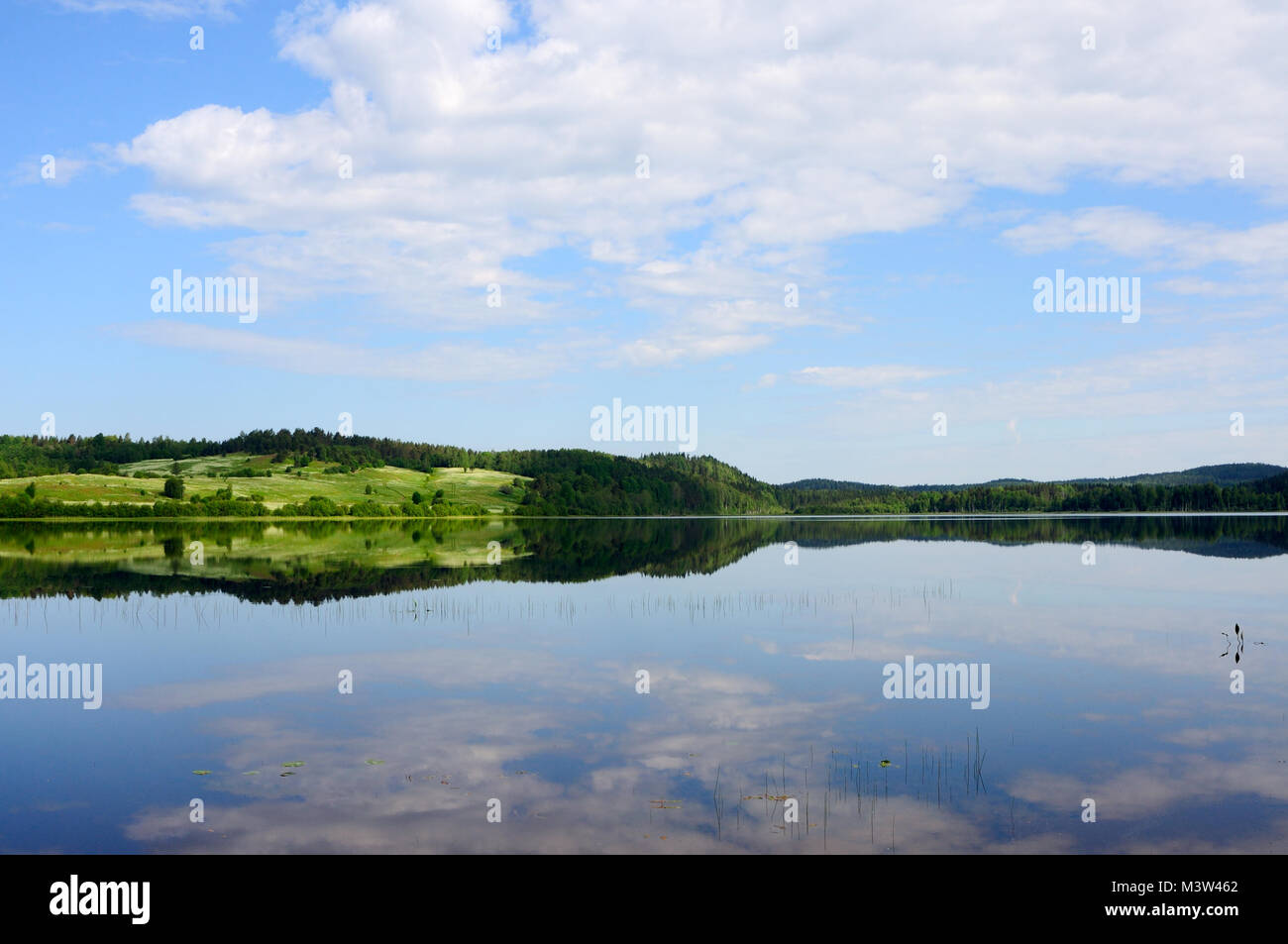 Sky and shore reflected in the mirrored surface of the lake Stock Photo