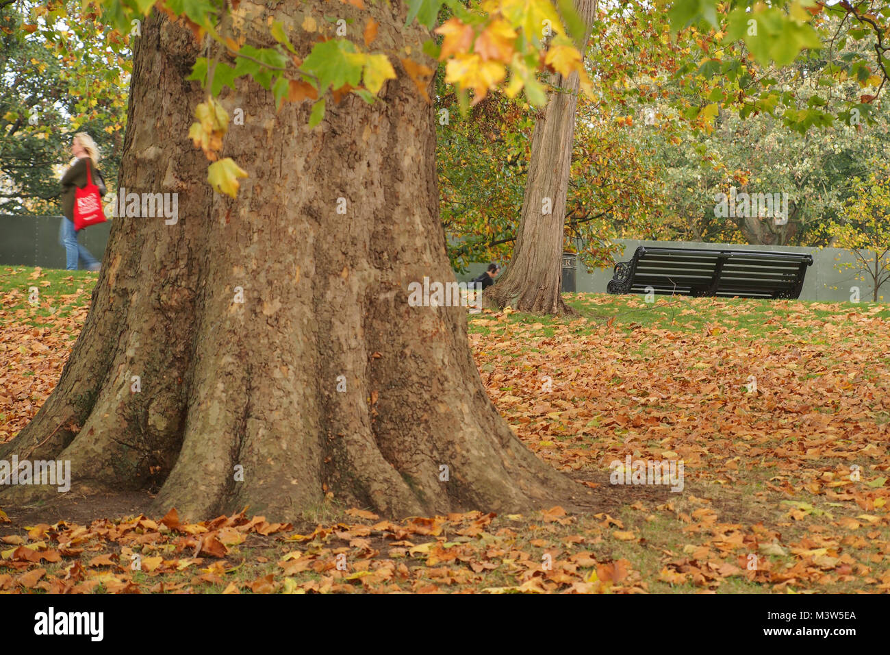Mature woman alone walking park hi-res stock photography and images - Alamy