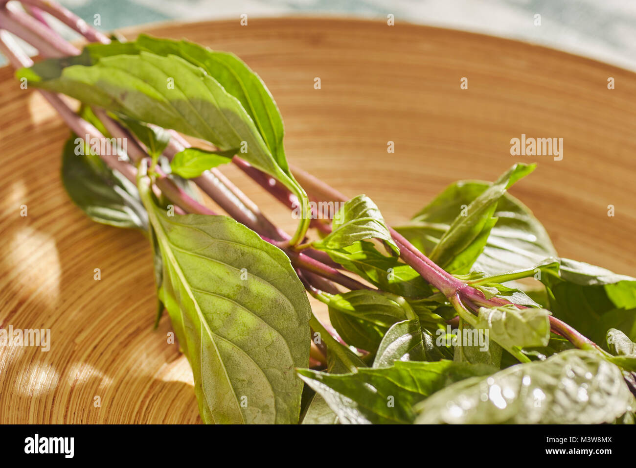 stalks and leaves of Thai Basil Stock Photo Alamy