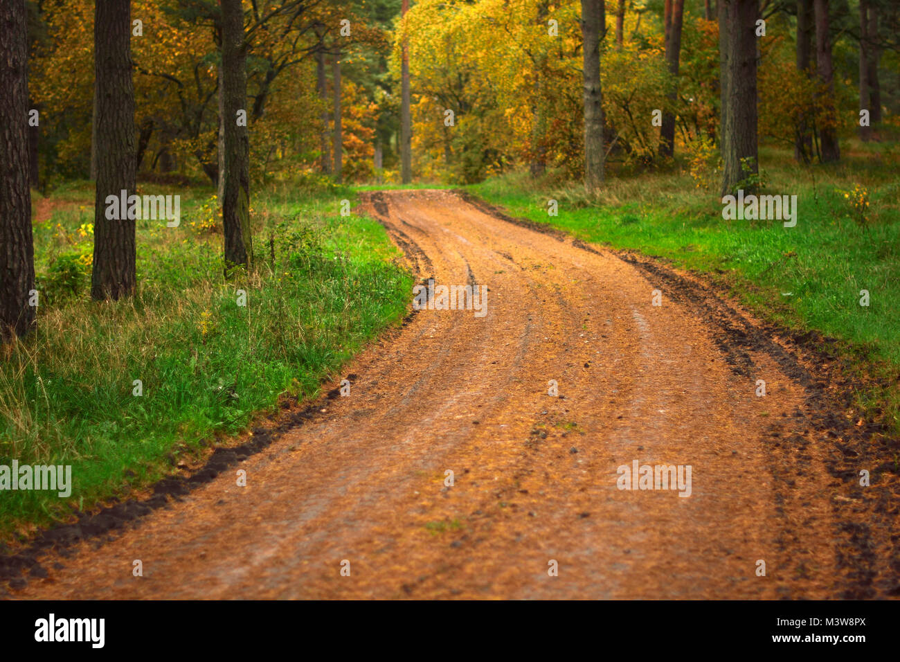 Pathway at Swedish countryside Stock Photo - Alamy