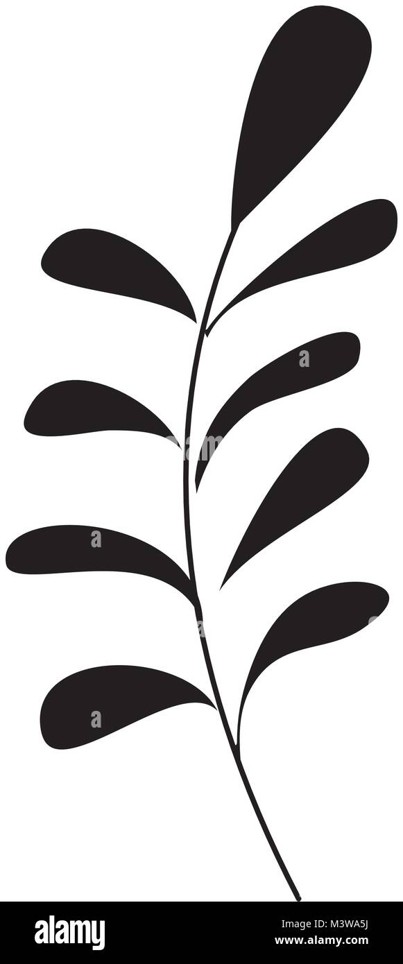 branch leaves plant natural botanical icon Stock Vector Image & Art - Alamy