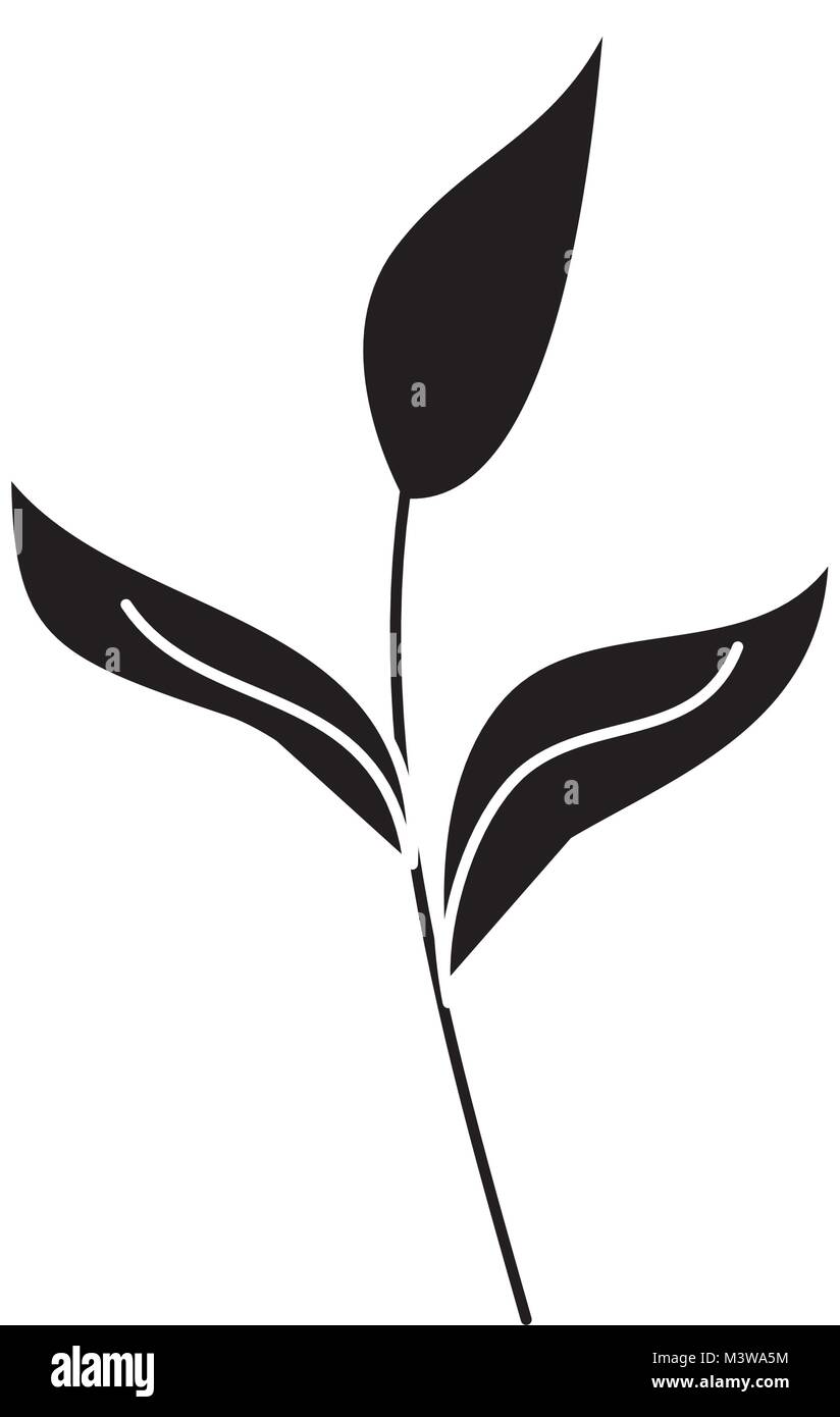 branch leaves plant natural botanical icon Stock Vector Image & Art - Alamy