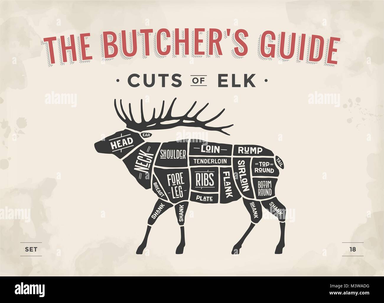Butcher diagram, scheme - Elk Stock Vector Image & Art - Alamy