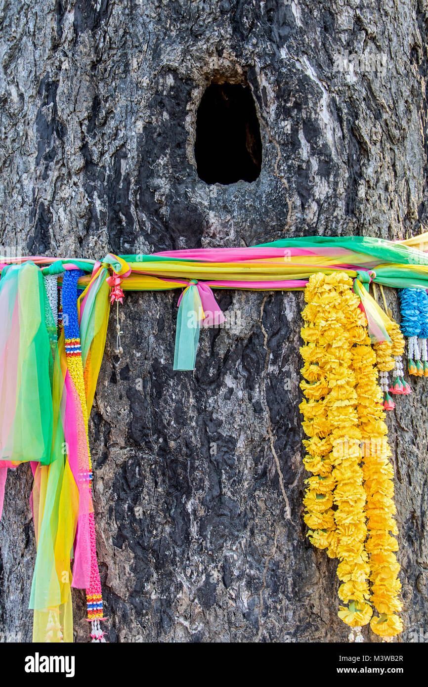 Decorative ribbons and colorful decoration on a tree trunk. Sacred ...