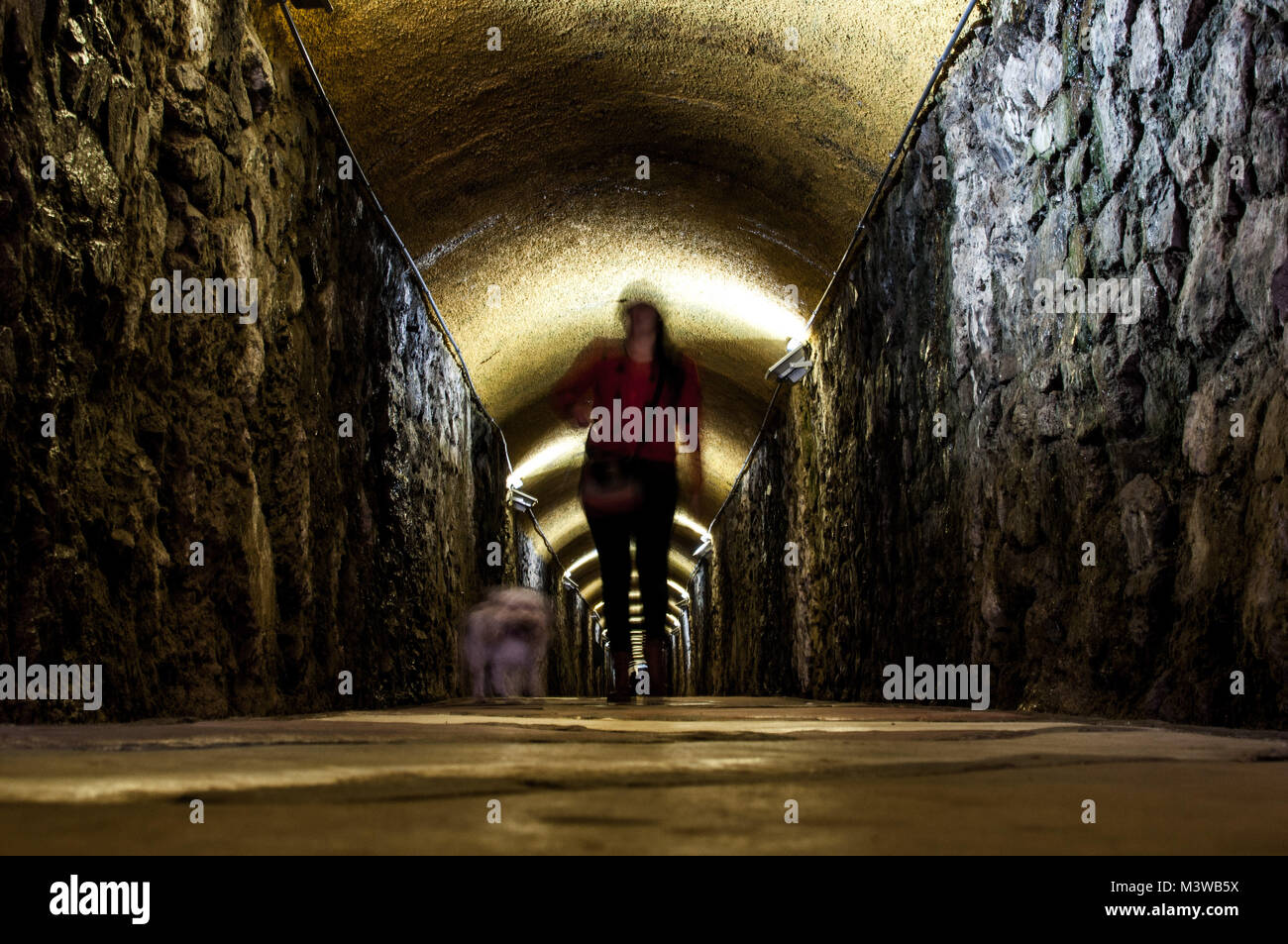 A photo with motion blur of a woman and her dog walking through a dark tunnel with yellow lights Stock Photo