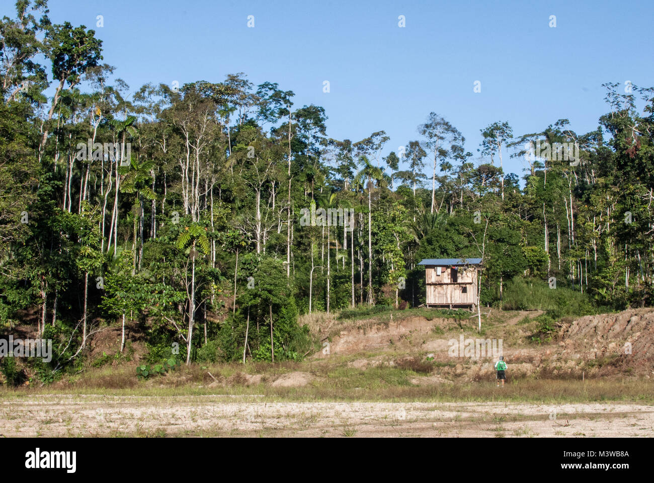 An indigenous man walking back home to his wooden house in the Ecuadorean Amazon Stock Photo