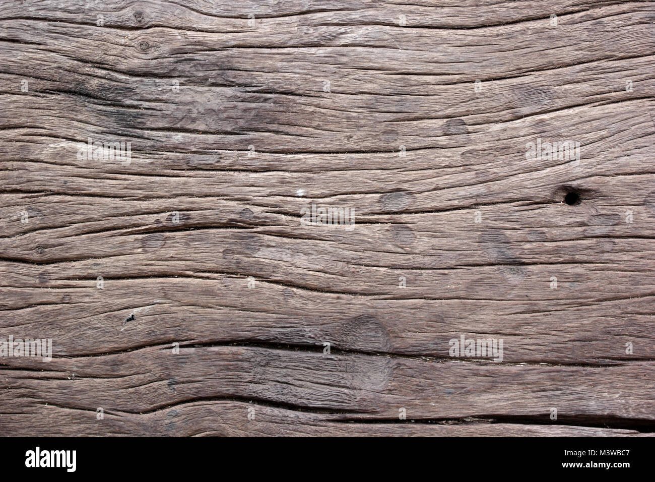 old tree bark as background or texture Stock Photo - Alamy