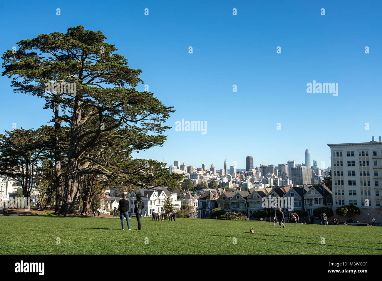 Image showcasing San francisco skyline panoramic view hi-res stock photography and ...