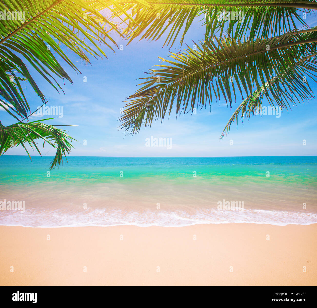 Palm and tropical beach Stock Photo - Alamy