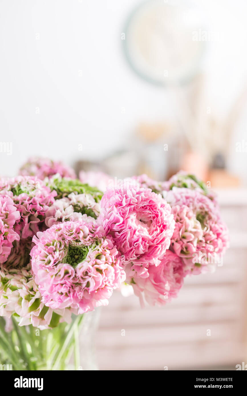 Persian buttercup. lace with many petals. Bunch pale pink ranunculus flowers light background. Wallpaper Stock Photo