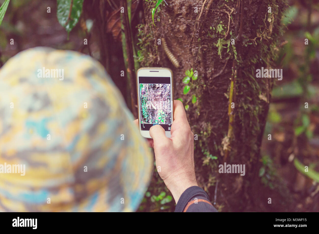 Jungle adventurer and travel hi-res stock photography and images - Alamy