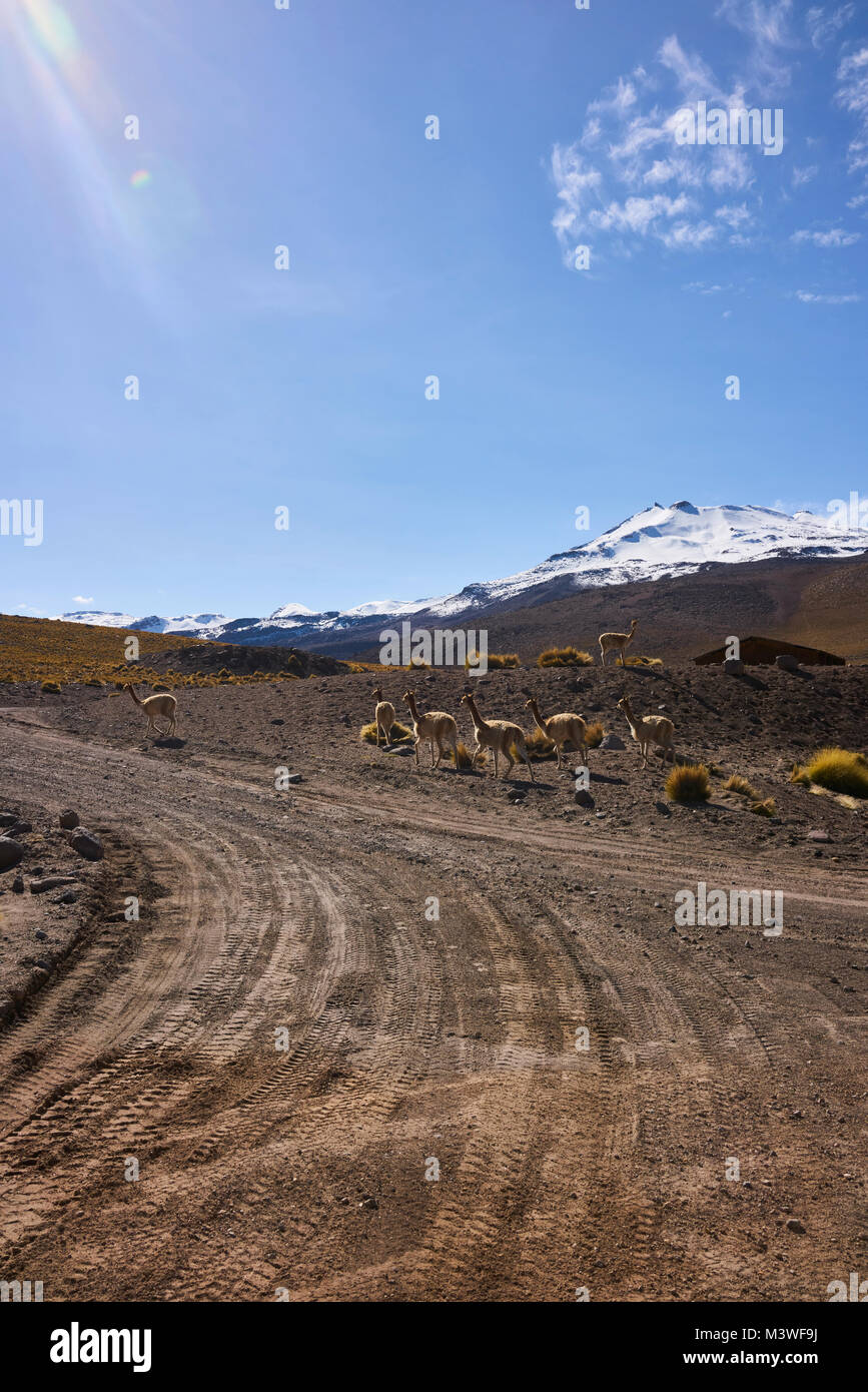 Snow capped andes mountains hi-res stock photography and images - Alamy