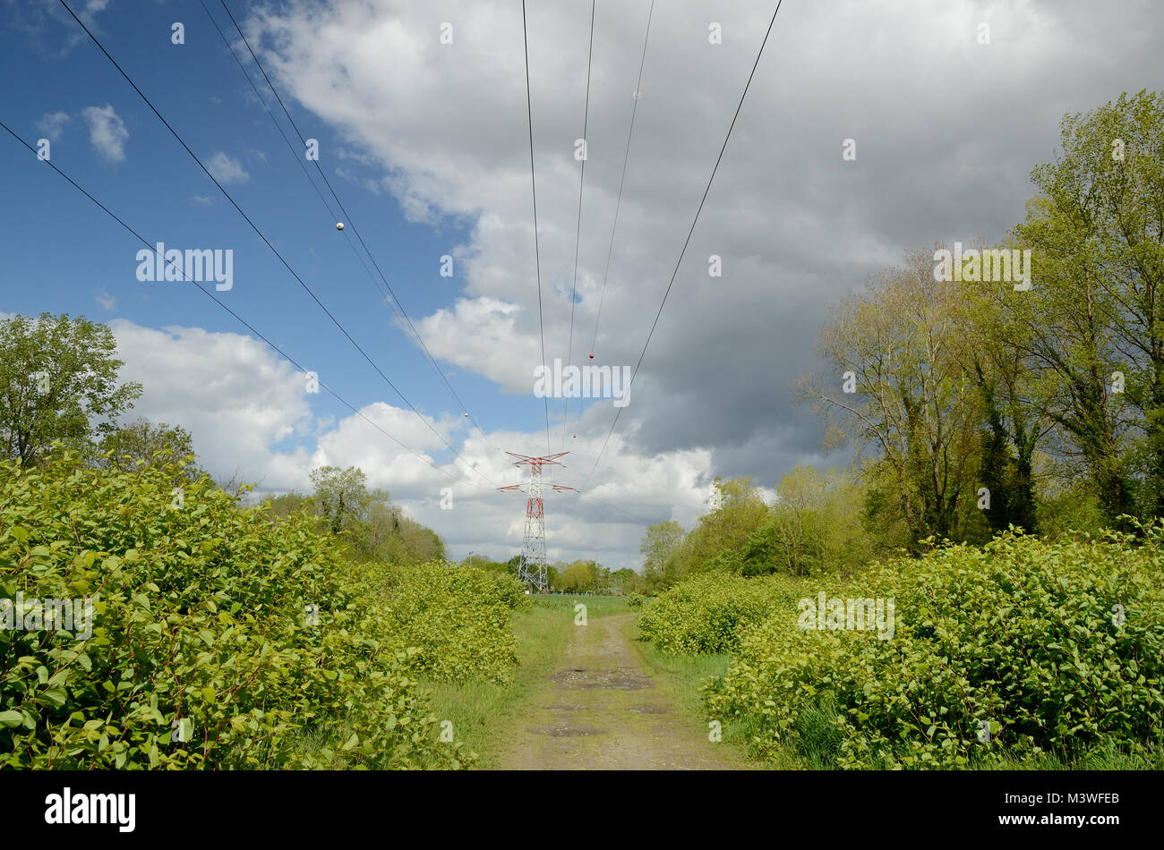 Country lane under the power lines Stock Photo