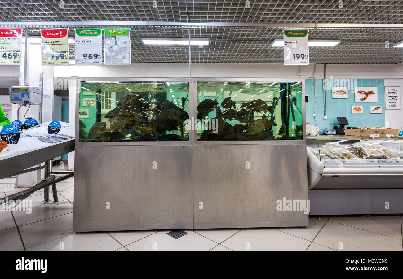 live fish shop