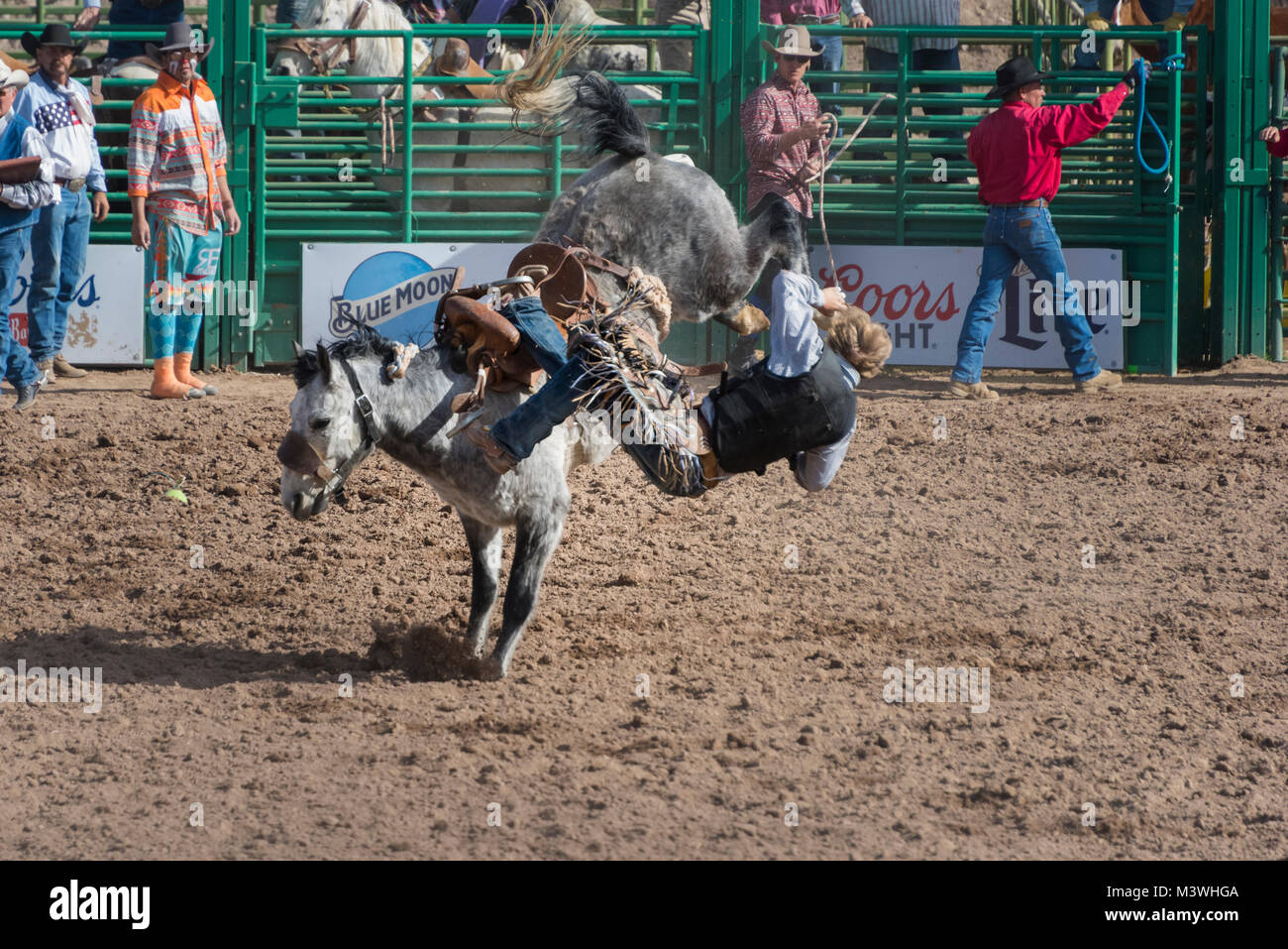 Everett bowman arena hi-res stock photography and images - Alamy