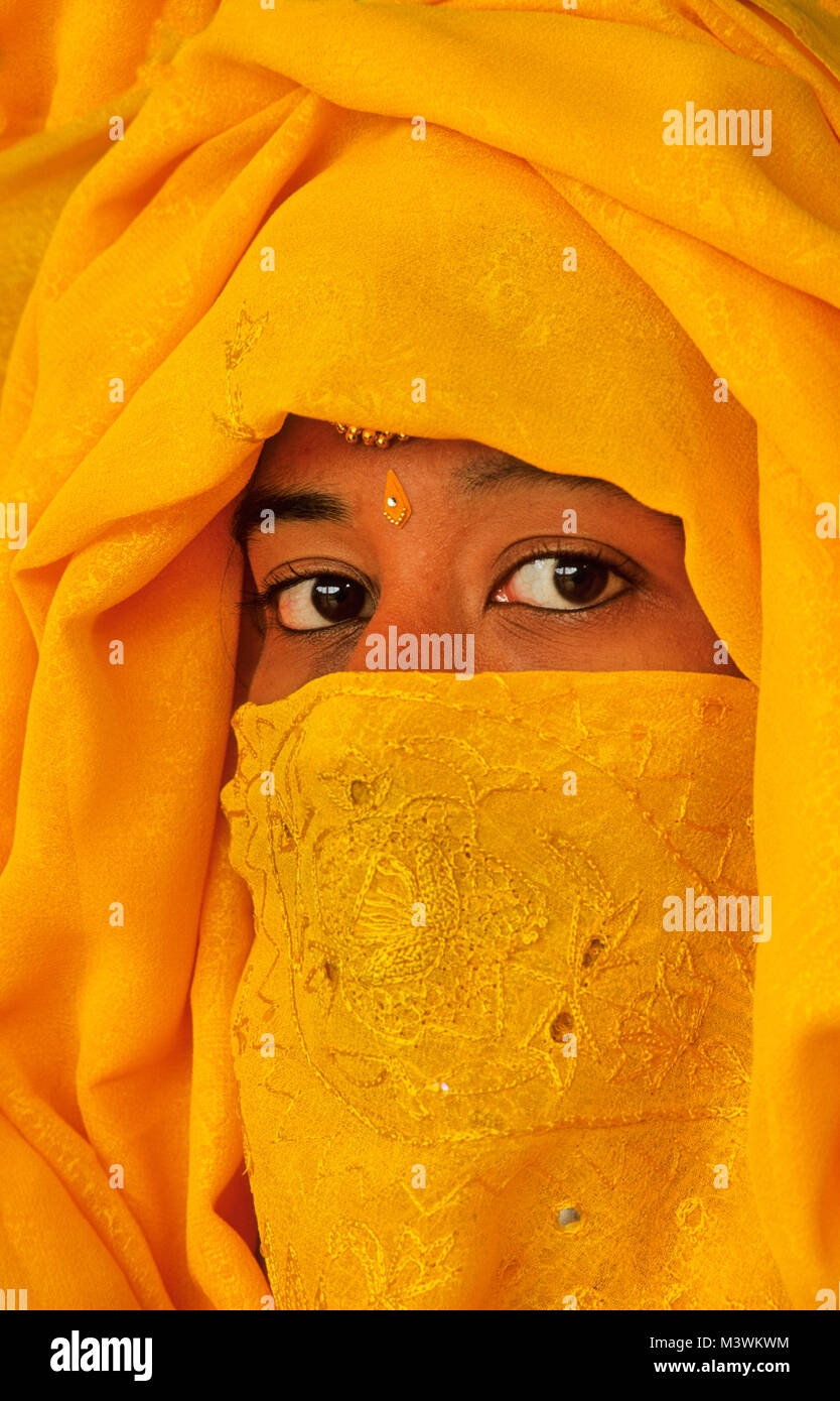 India. Rajasthan. Jaipur. Young woman wearing veil. Portrait Stock ...