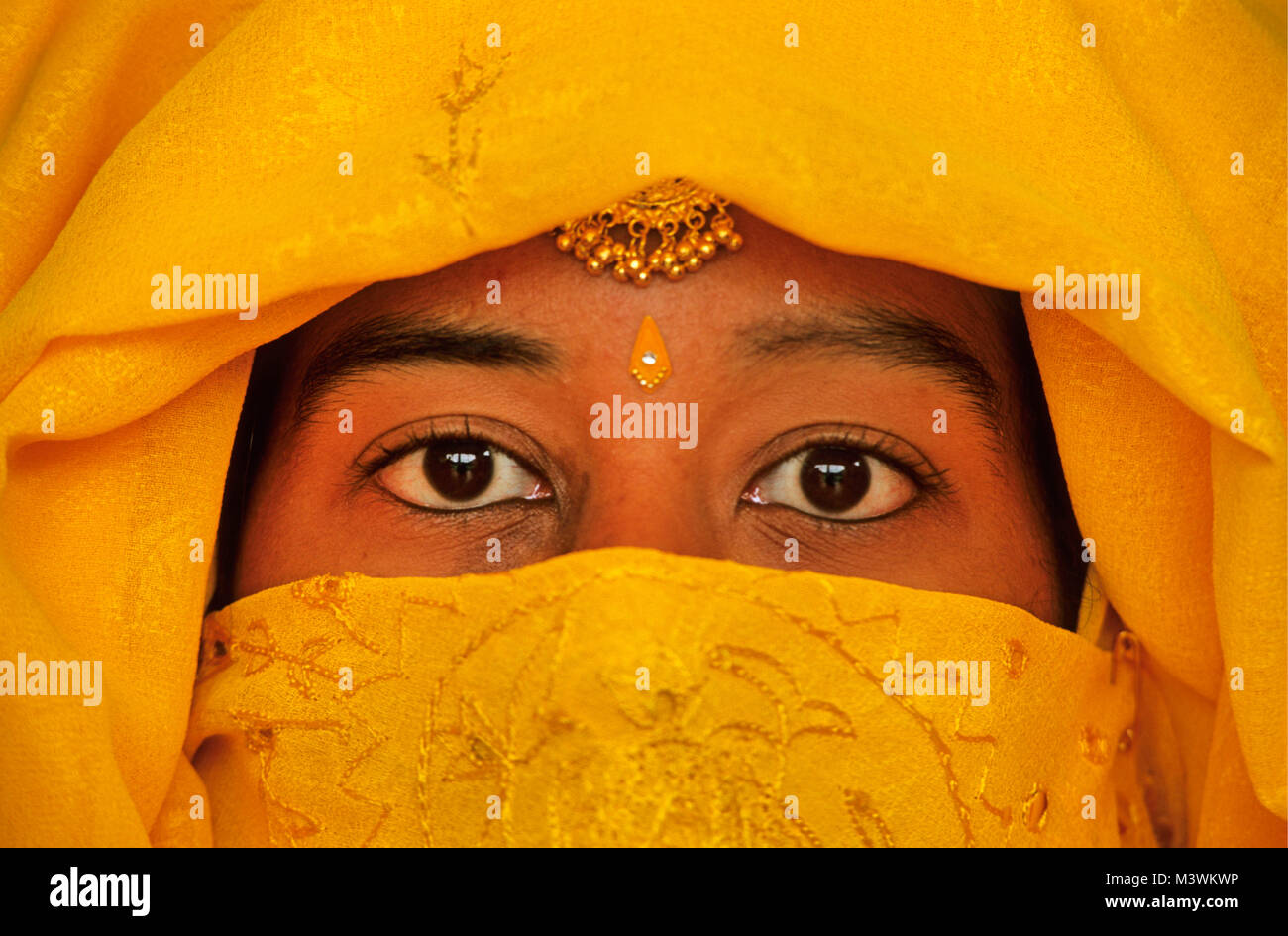India. Rajasthan. Jaipur. Young woman wearing veil. Portrait Stock ...