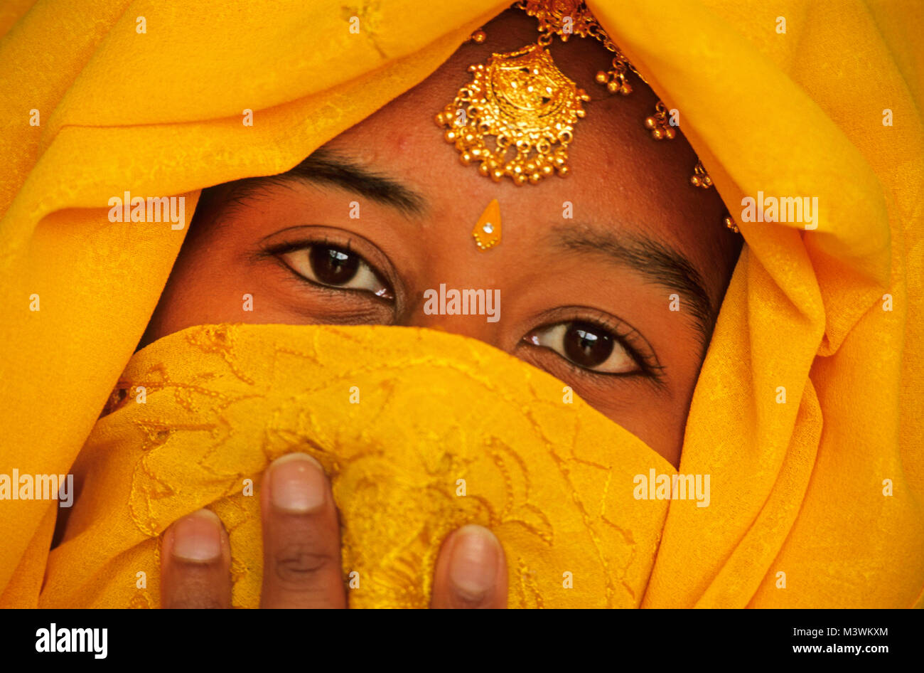India. Rajasthan. Jaipur. Young woman wearing veil. Portrait Stock ...