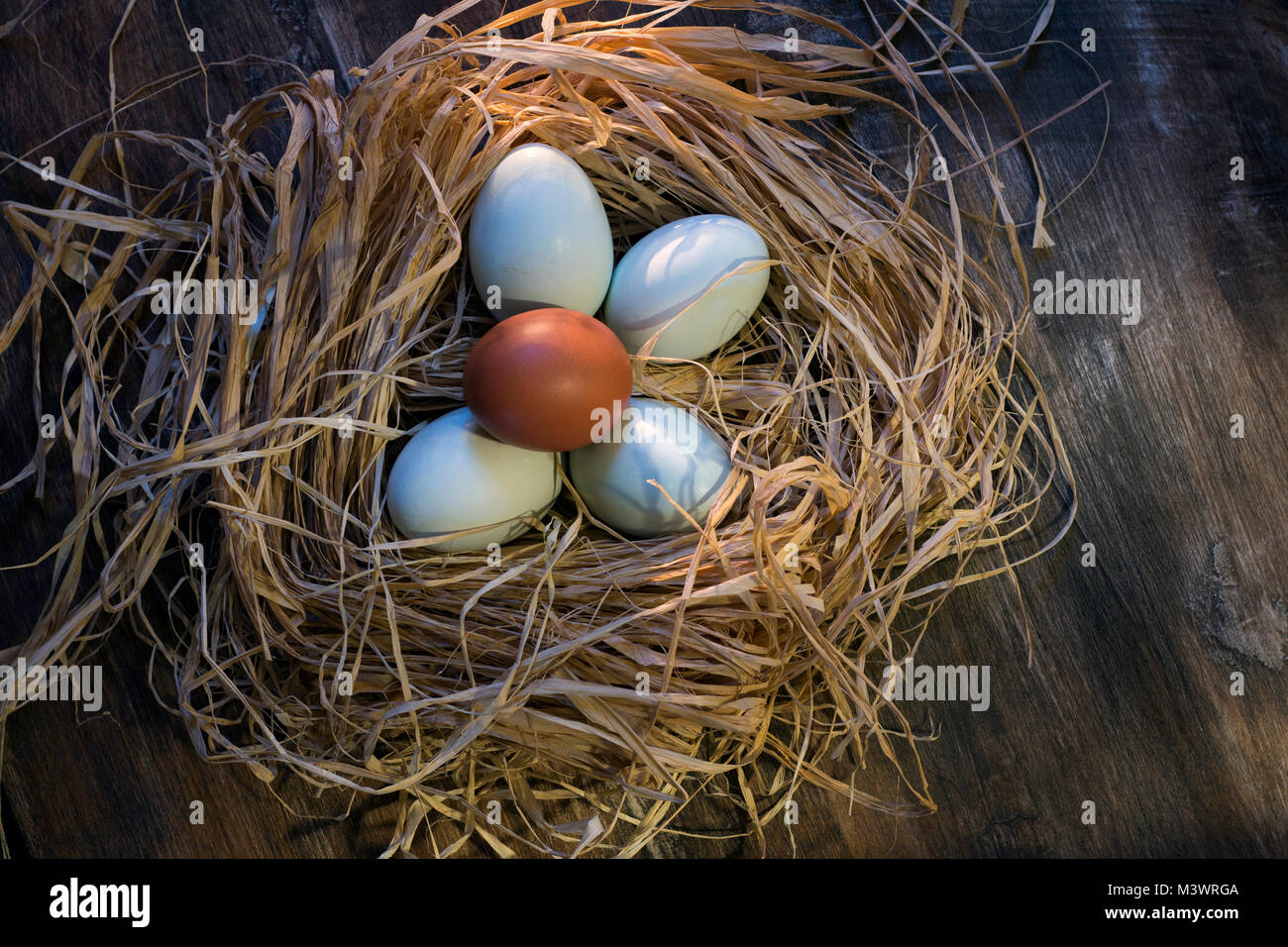 Blue and Brown Eggs Stock Photo - Alamy