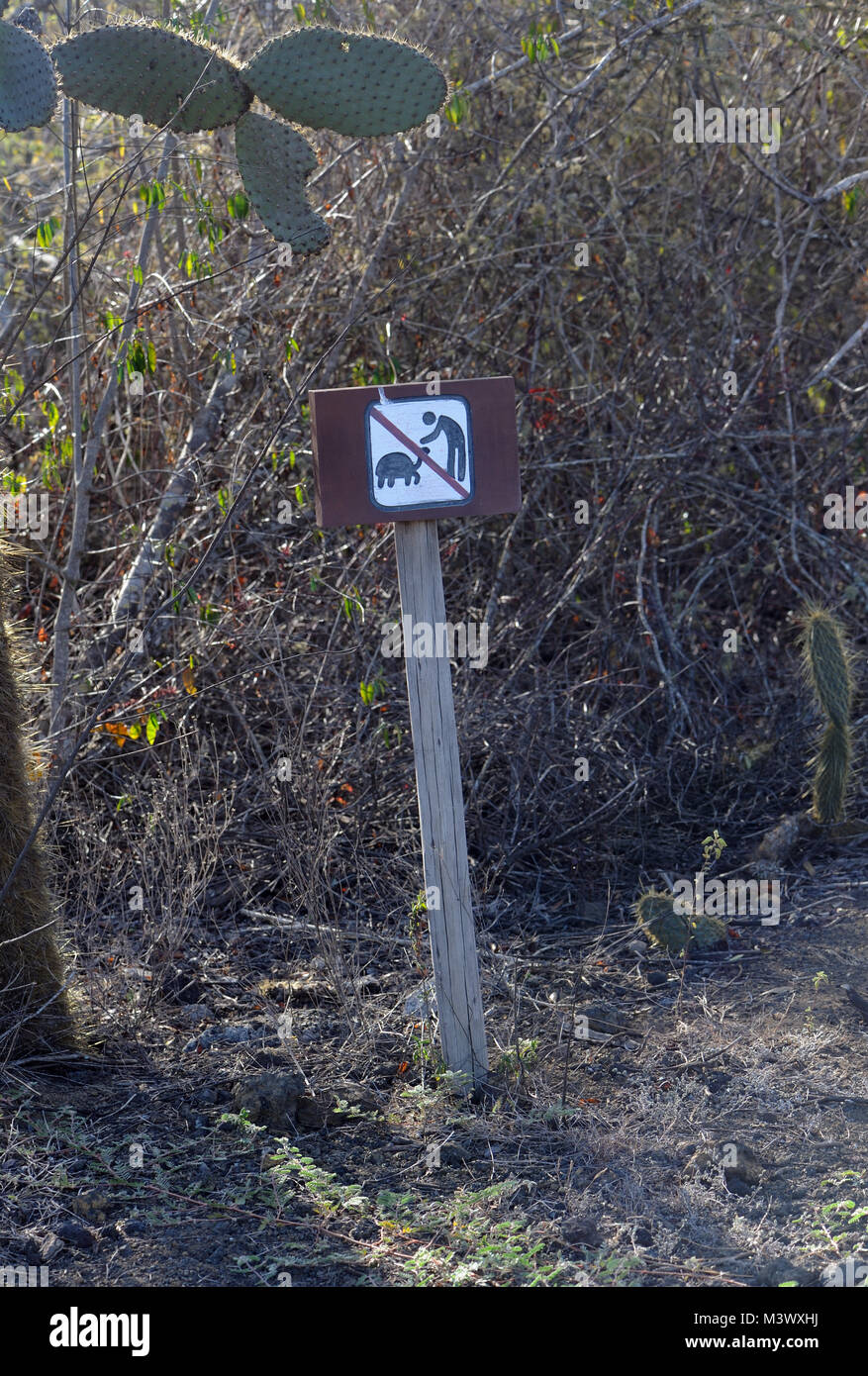 Trackside sign warning people not to touch giant tortoises. Puerto Villamil, Isabela, Galapagos, Ecuador. Stock Photo
