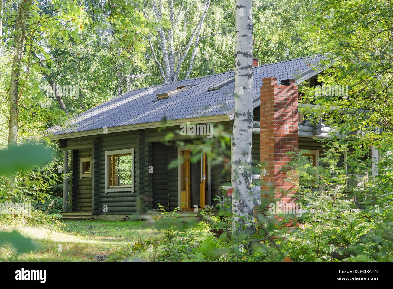 Log house in a picturesque corner of the forest in sunny weather Stock