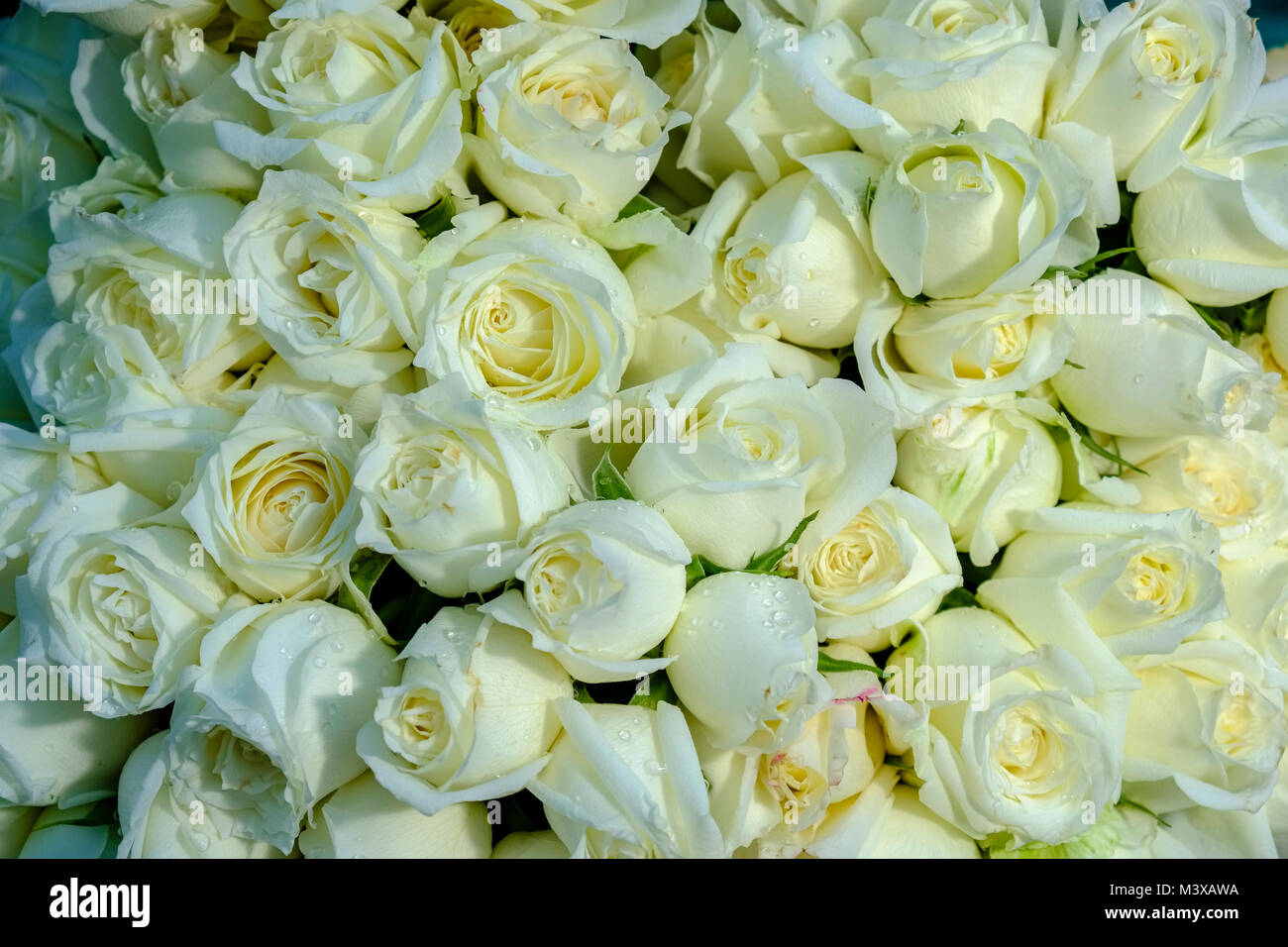 White roses are for sale at the flower market in the streets of town Stock Photo