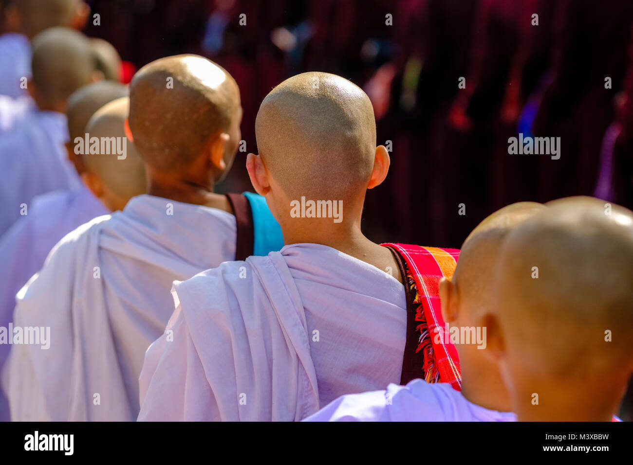 Shaved bold heads of young buddhist monks, queuing for food at Mahagandhayon Monastery Stock Photo