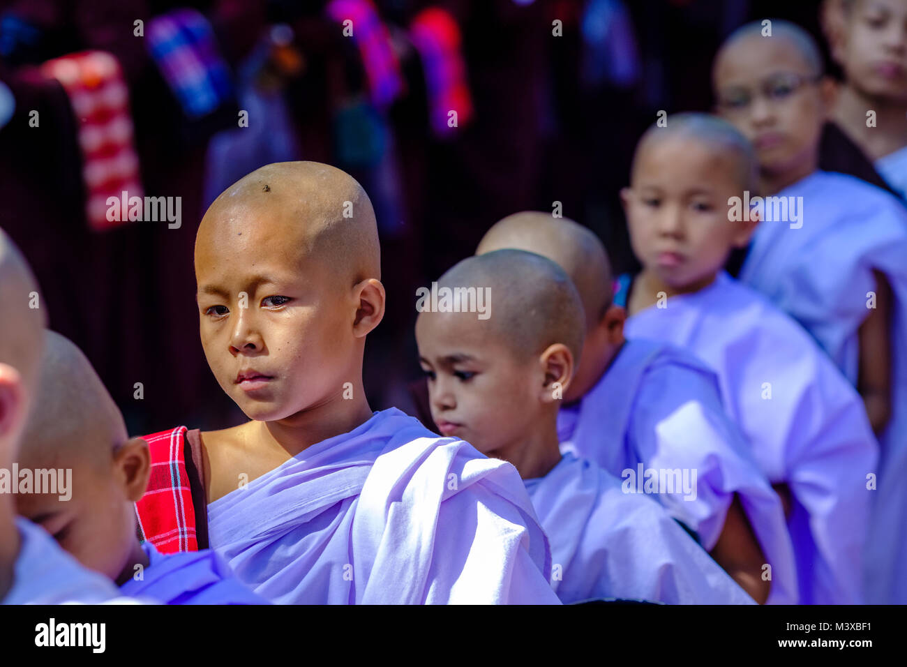 Shaved bold heads of young buddhist monks, queuing for food at Mahagandhayon Monastery Stock Photo
