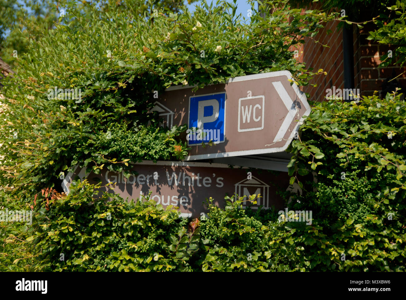 Road signs hidden by overgrown vegetation Stock Photo