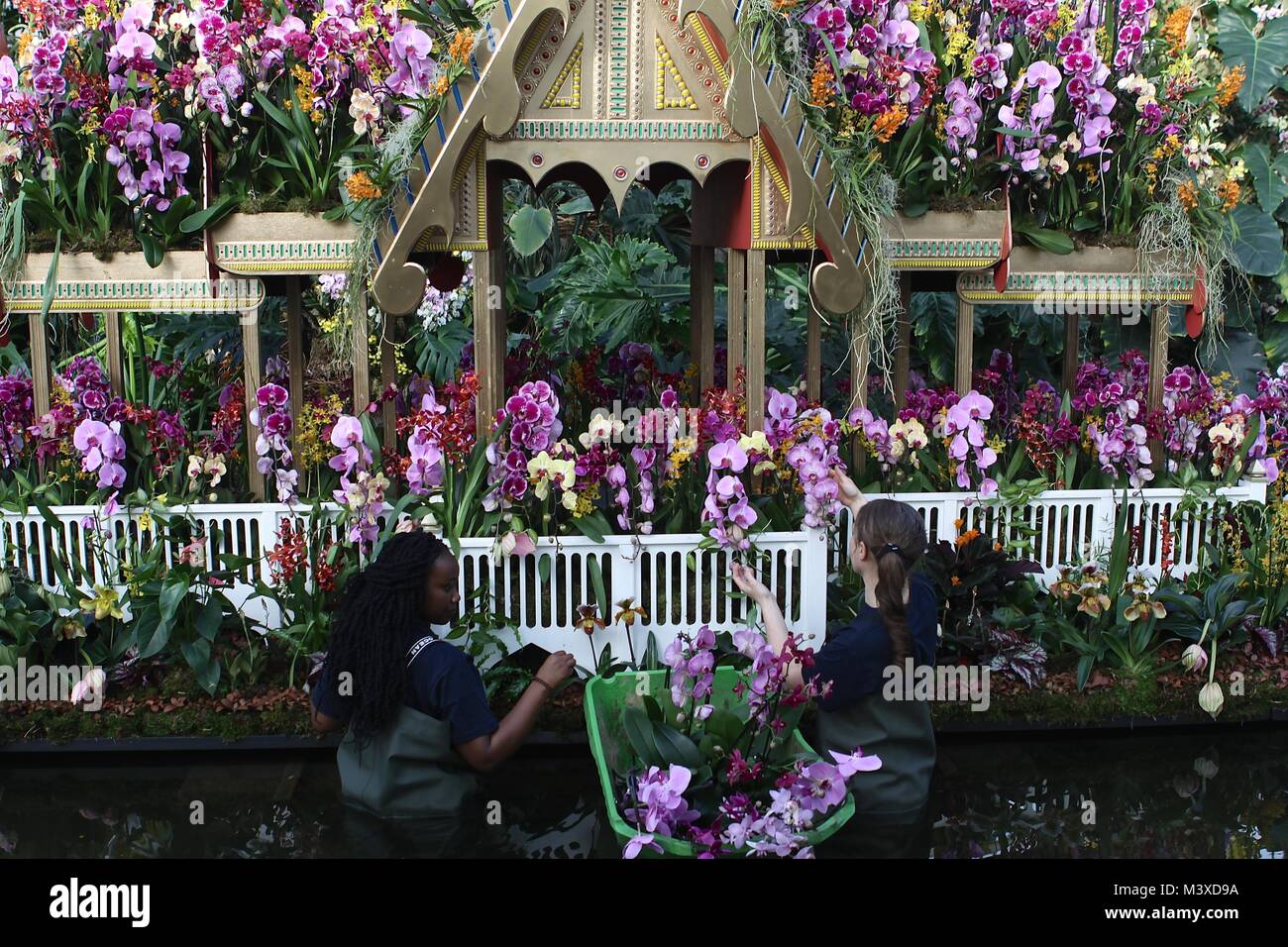 Orchids festival at Kew Gardens London 2018 Stock Photo