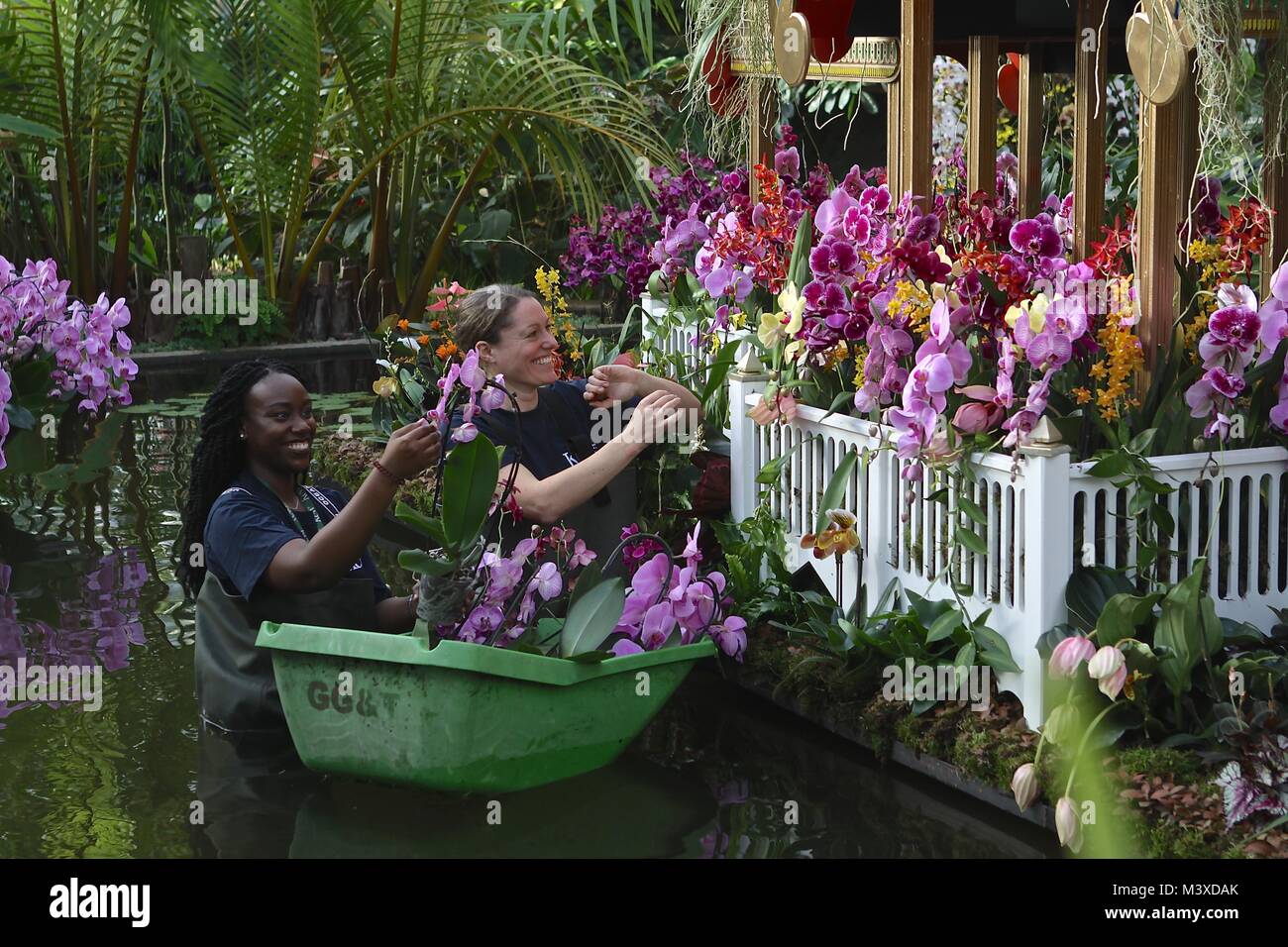 Orchids festival at Kew Gardens London 2018 Stock Photo