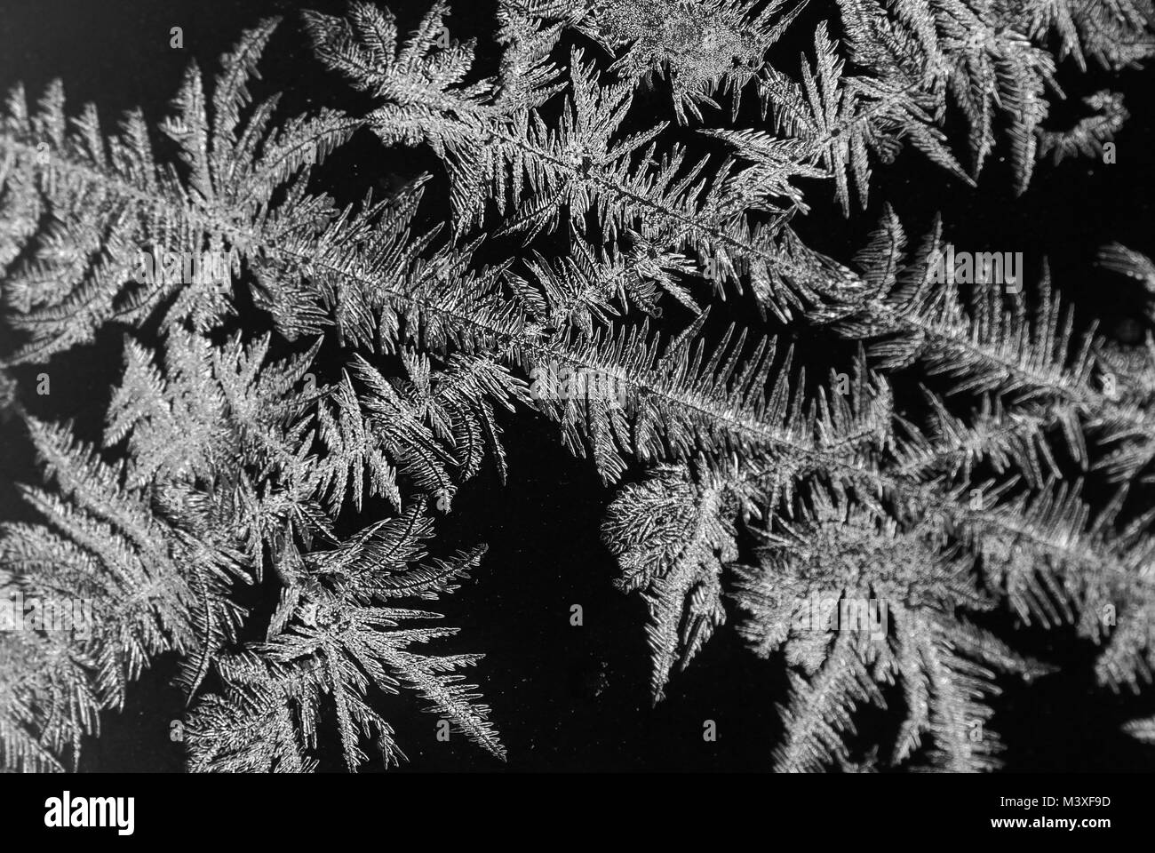 Crossing Frozen Water Ice Crystals On A Black Background Ice Stock Photo Alamy Crossing Frozen Water Ice Crystals On A Black Background Ice Stock Photo Alamy