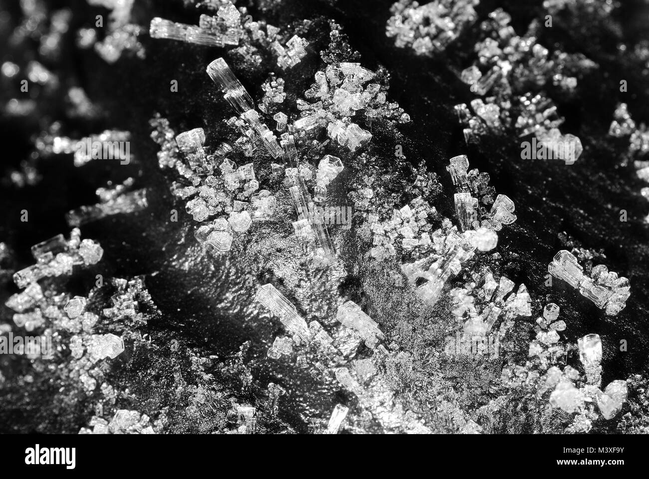 small ice crystals on a black surface in the winter Stock Photo