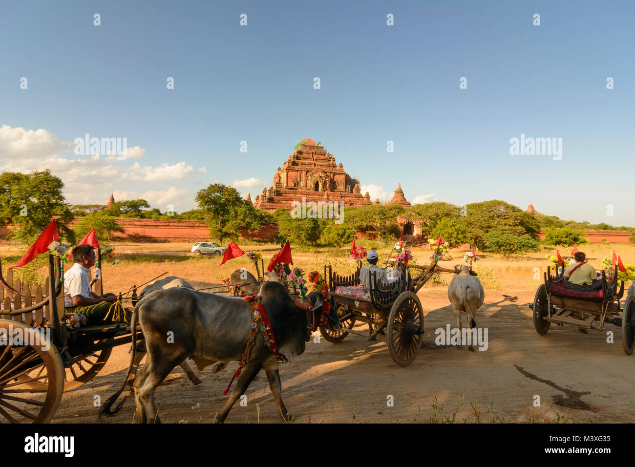 Bagan: Sulamani Temple, oxcart decorated for event of marriage photo ...