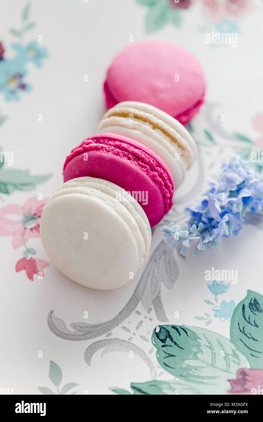 Floral Background Pastel High Resolution Stock Photography and Images ...