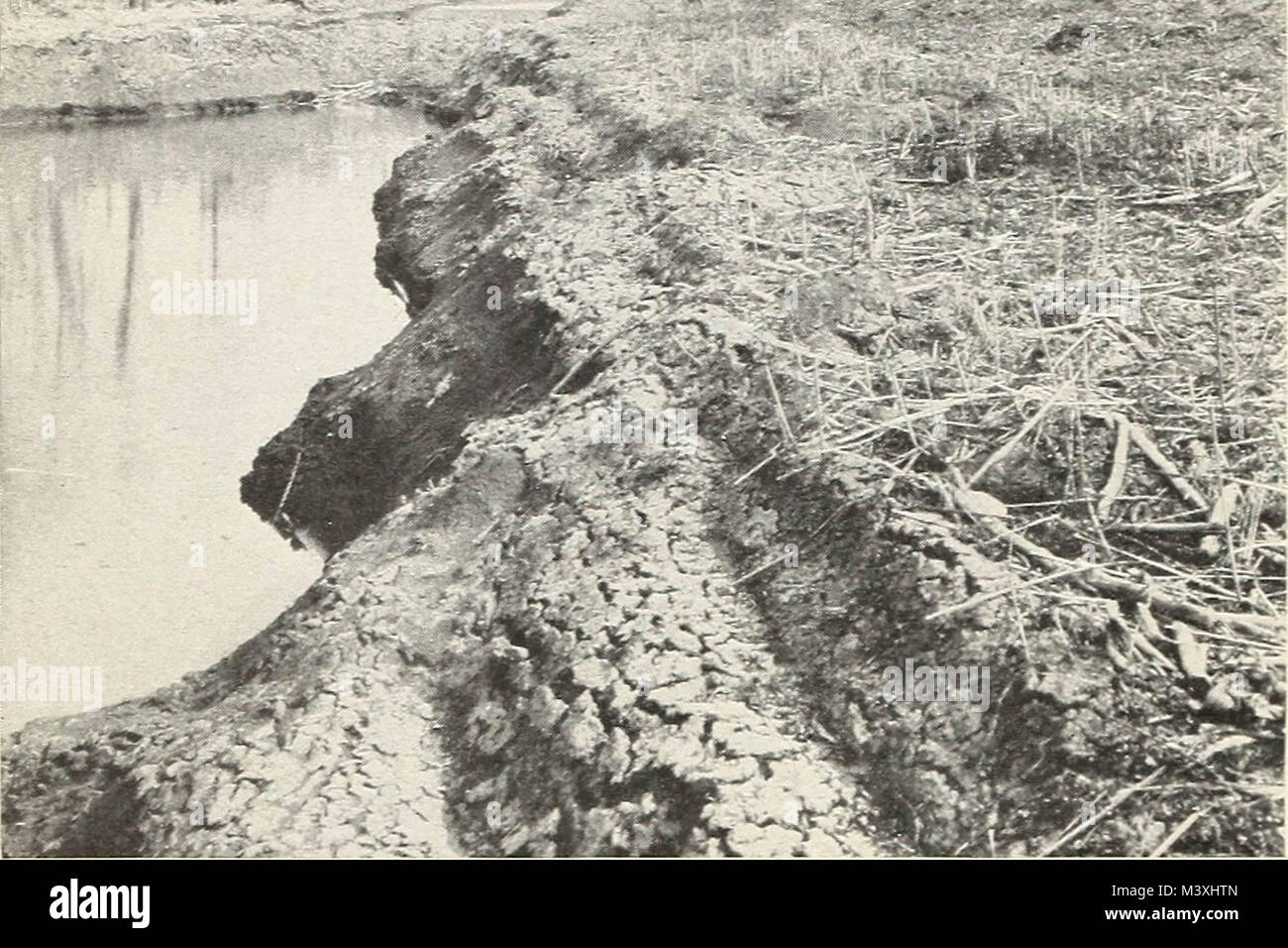 "Land drainage by means of pumps" (1915 Stock Photo Alamy