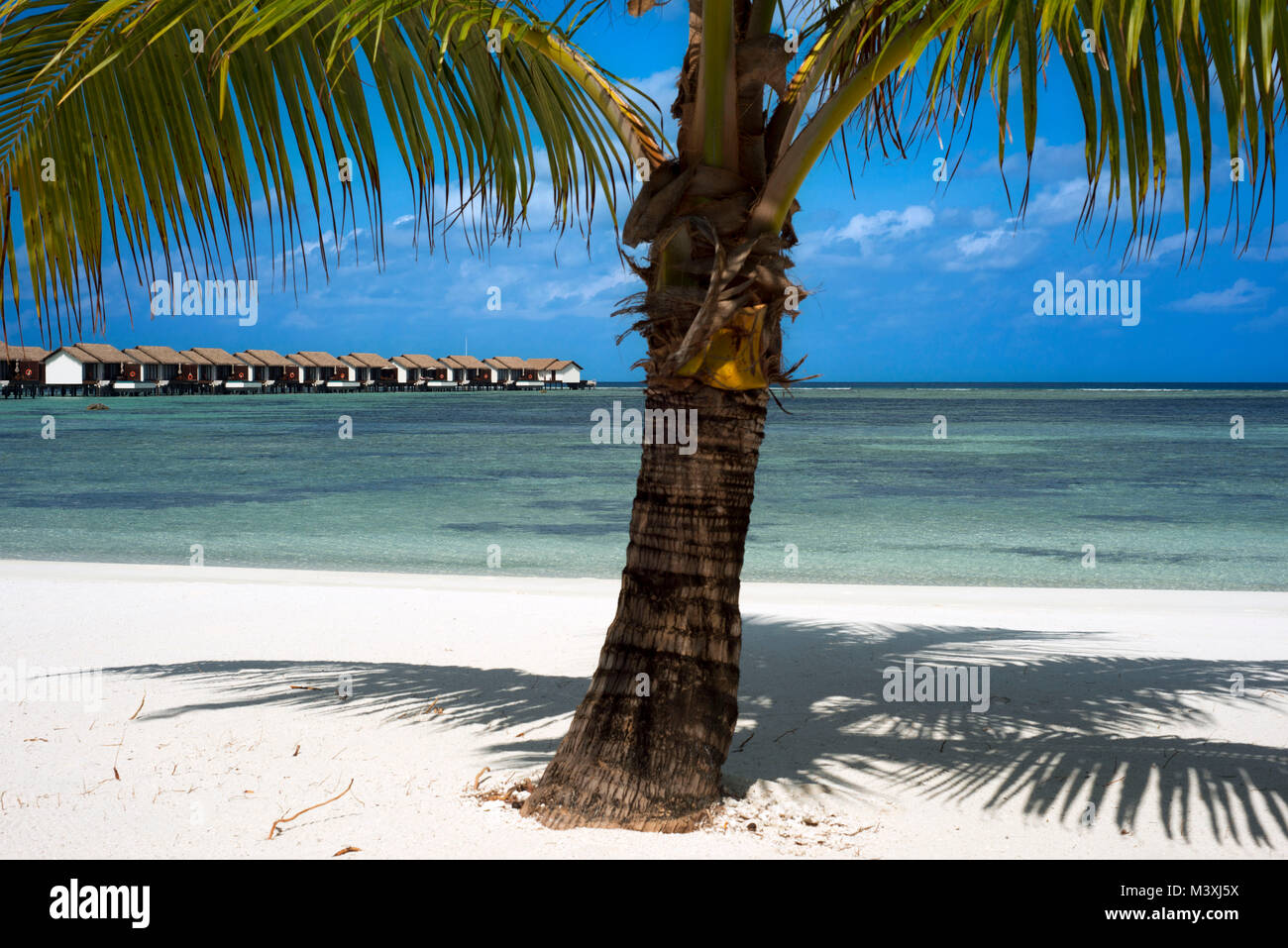 Palm and Luxury bungalows villas in The Residence Hotel and Resort, Gaafu Alifu Atoll. Maldives Islands. Stock Photo