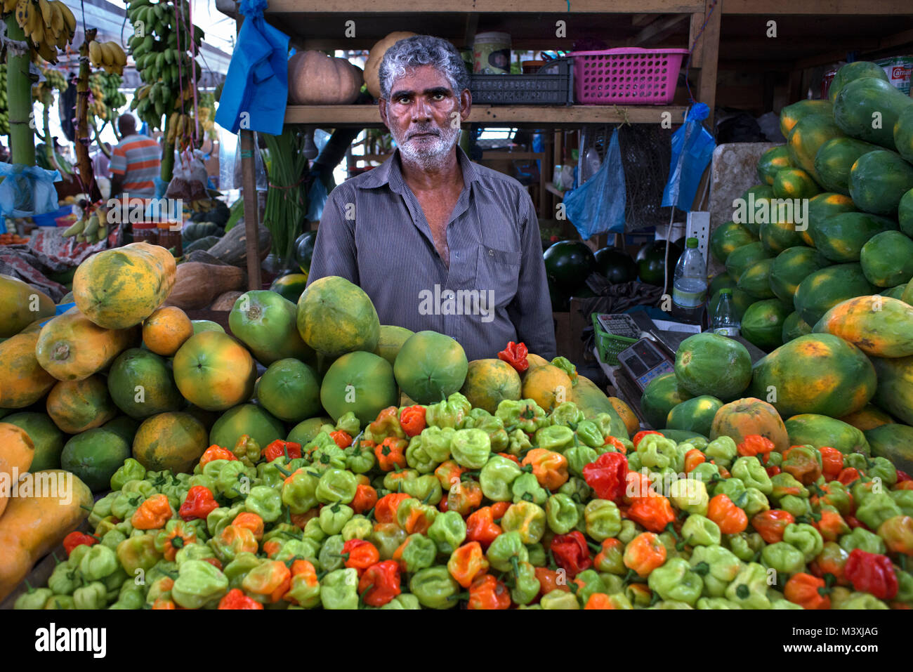 The local fruit market of Male', Maldives is filled with local products Stock Photo